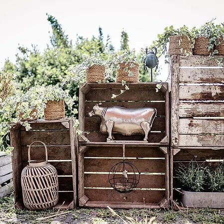 Tinyparks Eiland Tiengemeten 3*