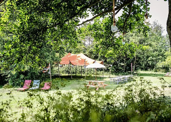 Tinyparks Eiland Tiengemeten Hotel Zuid-Beijerland