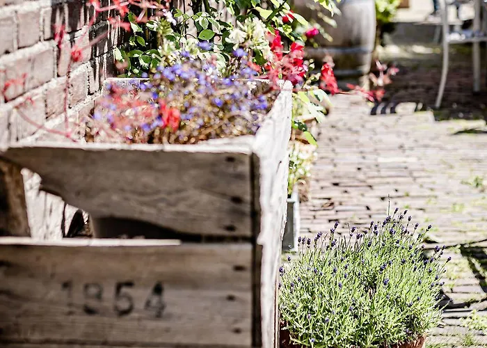 Tinyparks Eiland Tiengemeten Hotel Zuid-Beijerland