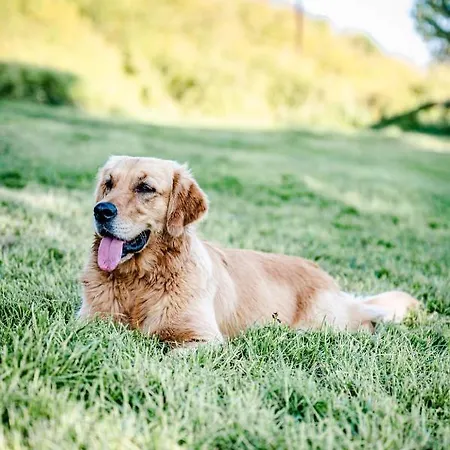 Tinyparks Eiland Tiengemeten 호텔 3*