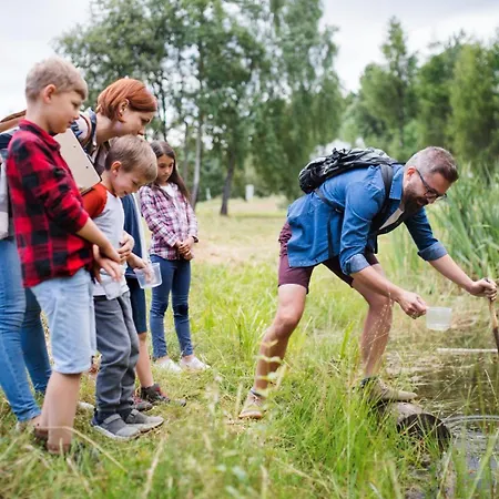 Tinyparks Eiland Tiengemeten 3* Zuid-Beijerland