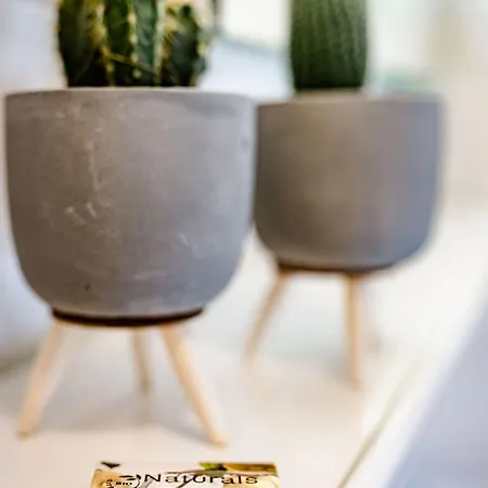 Tinyparks Eiland Tiengemeten