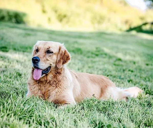 Tinyparks Eiland Tiengemeten Hotel 3*