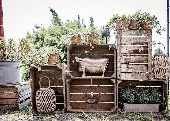 Tinyparks Eiland Tiengemeten 3*